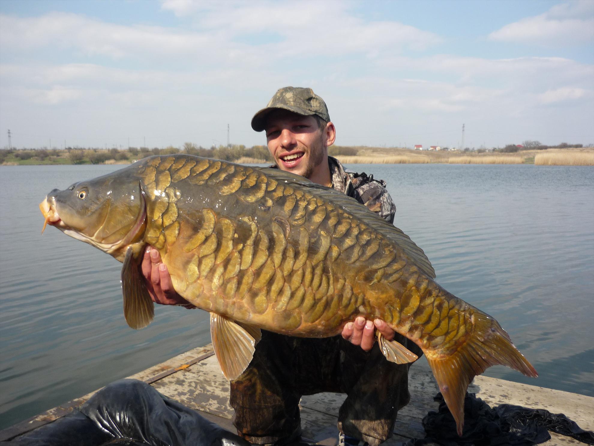 Foto dulapi - picture-107.jpg